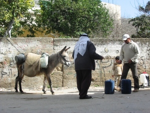 Pobladores de Madama cargando costosos bidones de agua en burro